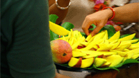 Mango Festival Luau - Miami Dish Video Bite